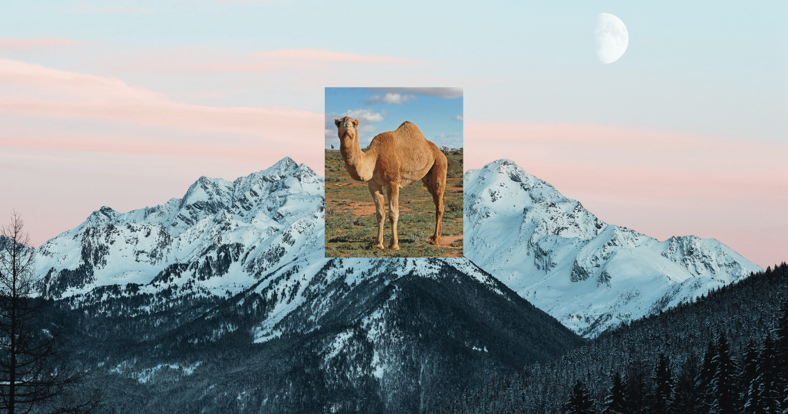 snippet of my workflow in the development virtual machine. Opening file manager from terminal and Godot 4 from yakuake terminal